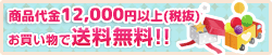 12000円で送料無料